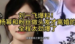 刘一飞爆料最新,揭秘娱乐圈最新内幕