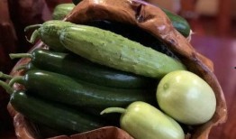 网红东北吃瓜最新视频,揭秘幕后故事，笑料百出！