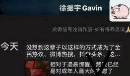 珠海海王爆料视频,一场惊心动魄的职场风云