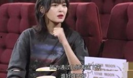 圈内爆料辛芷蕾,圈内爆料揭示不为人知的背后故事