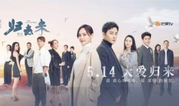 归去来电视剧在线观看,穿越时空的青春记忆，重温经典电视剧在线观看之旅