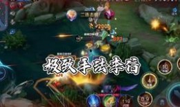 关于李信的爆料视频播放,爆料视频背后的惊人真相