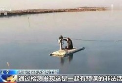 海参养殖爆料视频播放,视频曝光养殖过程与幕后真相