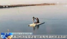 海参养殖爆料视频播放,视频曝光养殖过程与幕后真相
