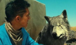 狼全集在线观看,探寻狼族传奇，揭秘自然奥秘