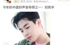 刘宪华爆料对象是谁啊视频,视频主角身份成谜