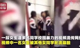 哈尔滨女生爆料事件视频,真相与争议交织的校园风云
