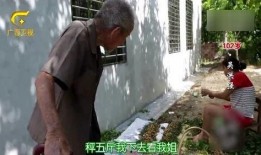 百岁爷爷爆料姐姐视频大全,姐姐们的青春岁月视频集锦