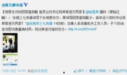 资讯爆料事件是真的吗视频,视频证据背后的真相