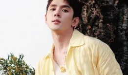 李佳琦娱乐大爆料,揭秘网红背后的故事与真相