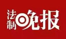 最新生活时事爆料,近期生活热点事件背后的真相与影响