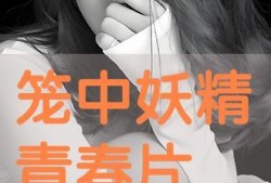 笼中的妖精在线观看,揭秘神秘生物的奇幻之旅