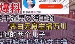 珠海海王爆料视频,一场惊心动魄的职场风云