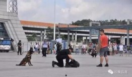 东莞火车站爆料事件视频,真相与争议交织的现场直击