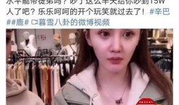 辛巴鹿爆料发声视频,背后真相与情感纠葛