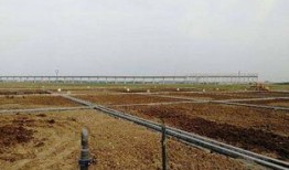 最新沙漠爆料消息今天新闻,最新爆料揭示神秘沙漠现象