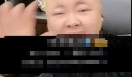 辛巴鹿爆料发声视频,背后真相与情感纠葛