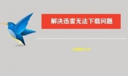 红字迅雷在线观看,迅雷在线观看，揭秘罪恶与救赎的激情篇章