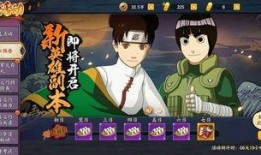 忍者副本爆料攻略最新,揭秘最新爆料，轻松通关秘籍大公开