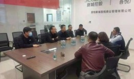 新城最新爆料新闻视频,最新爆料新闻视频深度解析