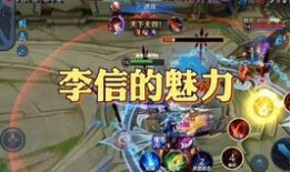 关于李信的爆料视频播放,爆料视频背后的惊人真相