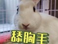 抖音网红美女 吃瓜事件,揭秘网络舆论的风暴与真相