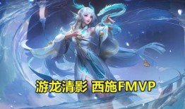 西施fmvp爆料视频,赛场背后的英雄故事