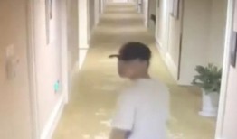 爆料谢娜被偷拍照片视频,照片视频引发热议