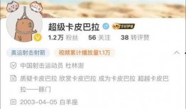 爆料四姐视频下载网站最新,一键获取热门视频，畅享娱乐盛宴！