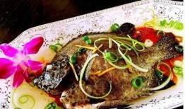 海鱼蚝油爆料怎么做的视频,视频教程详解