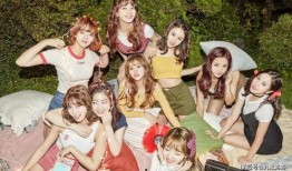 韩国圈内爆料twice,揭秘韩国娱乐圈背后的故事！