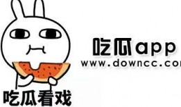 吃网红黑瓜视频在线播放,揭秘网络红人的幕后生活