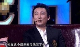 王思聪爆料那英事件视频,王思聪爆料背后的真相