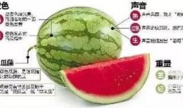 高州网红吃瓜群微信,揭秘网络红人的幕后生活