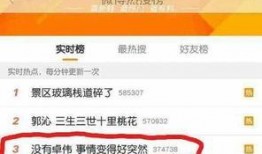 卓伟爆料李多海视频播放,引发网友热议