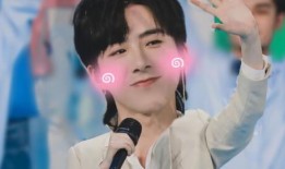 娱乐爆料刘宇宁刘诗诗视频,娱乐圈再掀波澜！