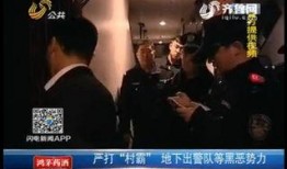 潍坊爆料的视频,揭秘事件背后惊人真相