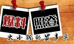 新闻免费爆料,最新新闻免费爆料事件深度解析