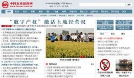 广东农业新闻爆料热线,聚焦田间地头，倾听农声心声