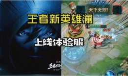新英雄澜的爆料视频,神秘新英雄，揭秘其独特技能与背景故事