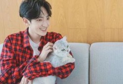 赵天宇大爆料完整视频,揭秘事件背后惊人真相