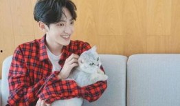 赵天宇大爆料完整视频,揭秘事件背后惊人真相