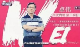 狗仔发布娱乐爆料新闻画面,娱乐圈最新爆料大追踪