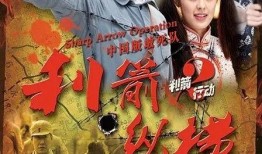 利前纵横全集在线观看,穿越时空的智慧之旅
