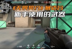 无畏契约新枪最新爆料,神秘性能引发热议，玩家期待度飙升