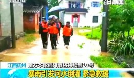 抚州爆料新闻最新情况直播,重大事件实时直播追踪