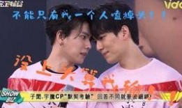 娱乐第一爆料cp,揭秘“第一爆料CP”背后的甜蜜故事