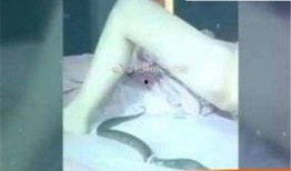 黄鳝门21分钟完整版在线观看,揭秘事件真相与幕后黑幕