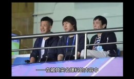 足协刘洁爆料视频,独家视频曝光足协幕后真相