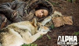 狼片在线观看免费